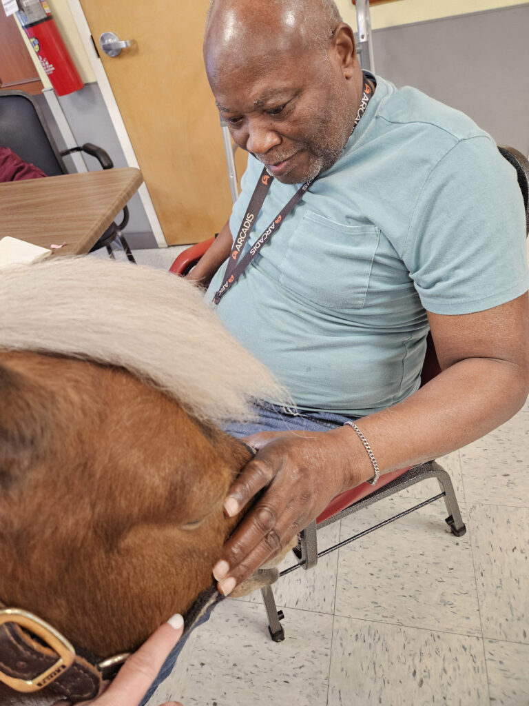 elderly-man-petting-tiny-horse-Bini-CarmelRichmond