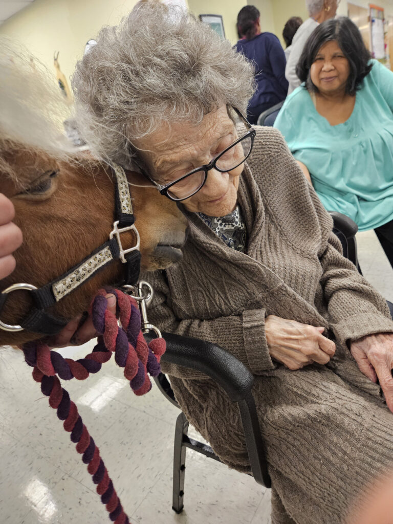 elderly-woman-with-tiny-horse-Bini-CarmelRichmond