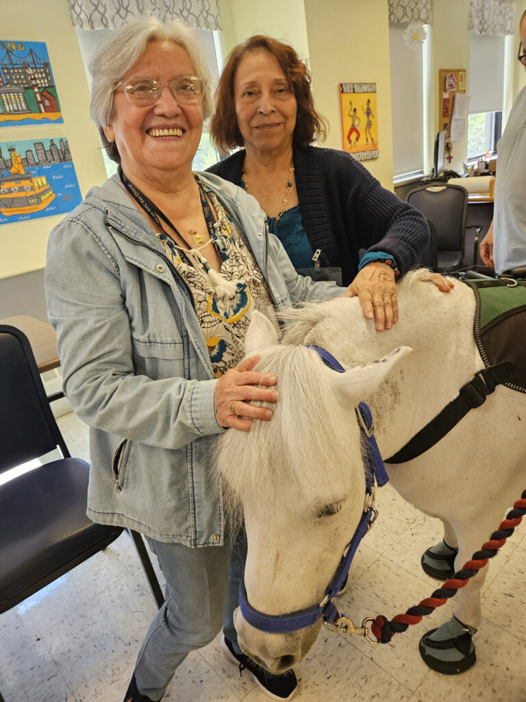 staff-with-tiny-horse-Bini-Carmel-Richmond